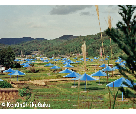 クリスト アンブレラ1