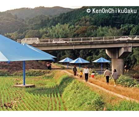 クリスト アンブレラ5