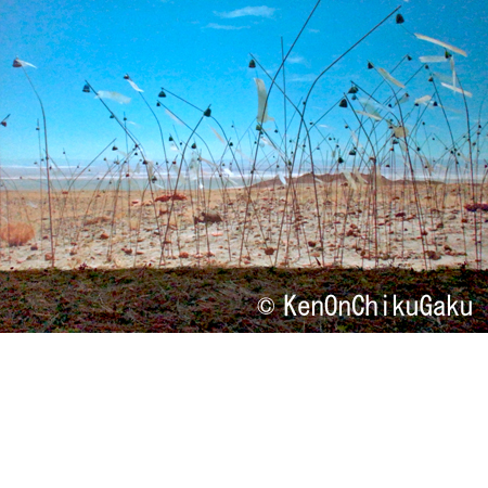 ボルタンスキー展7