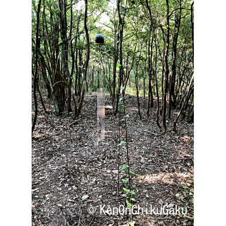 瀬戸内国際芸術祭14