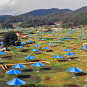 アンブレラ クリスト＆ジャンヌ＝クロード